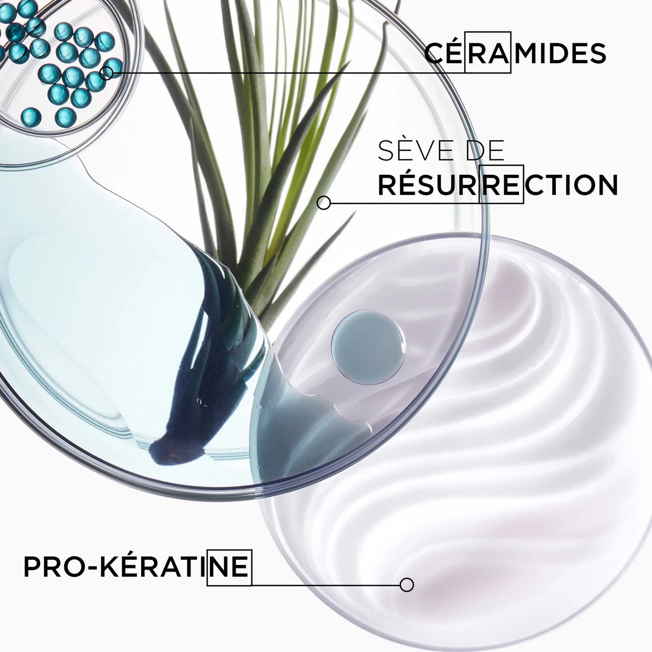 Ciment Thermique Kérastase 150ml 6 Ciment Thermique Kérastase 150ml – Image 4