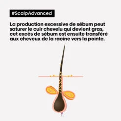 Shampooing Dermo-purifiant Anti Gras Scalp Advanced L'Oréal 1500ml -Capillaires Produits Magasin 3474637106416 4 47452.1684847766