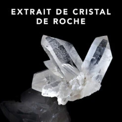 Trilliance Shampoo Sebastian 250ml -Capillaires Produits Magasin 51122 3 76641.1688998406