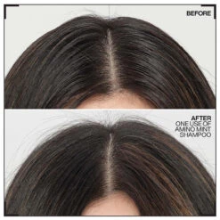 Shampoing Amino-Mint Redken 300ml -Capillaires Produits Magasin amino.1 56956.1694765720