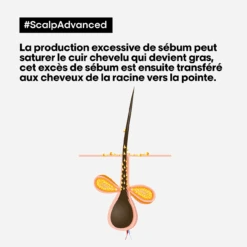 Argile 2-en-1 Purifiante Anti Gras Scalp Advanced L'Oréal 500ml -Capillaires Produits Magasin scalp advanced anti gras se bum 94024.1684847776